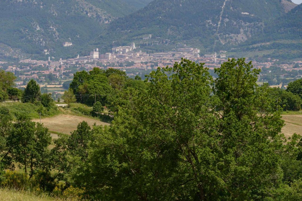 Casa Vacanze San Vittorino Gubbio Eksteriør billede
